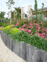 Photo n°14 de GreenFrog Garden design à Lévignac (Paysagiste)