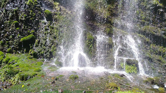 Opiniones de Condor Machay Cascadas en Quito - Camping