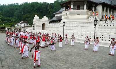 Photos of Sri Lanka Round Tours