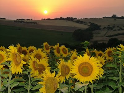 Casale Delle Rondini B&B