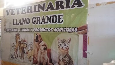 Photos of Veterinary Llano Grande