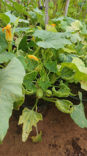 Gallery image 66