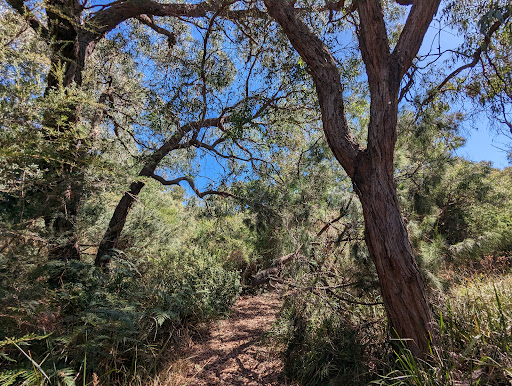 Alex Wilkie Nature Reserve - Thumbnail