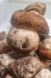 Photo n°49 de Les Plaisirs à Peillon (Restaurant méditerranéen)