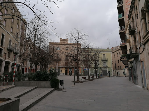 Pl. Triangular - Visual