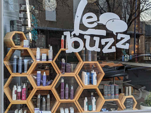 Le Buzz - Visual