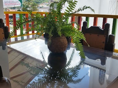 Photos of El balcon de los helechos