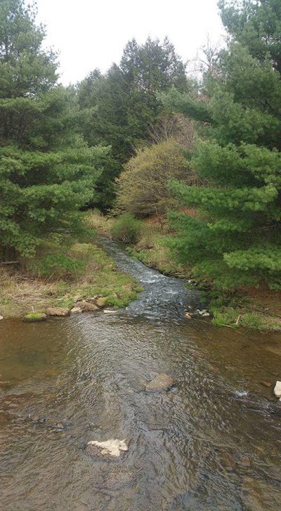 Photos of Camp Mountain Run