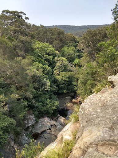 Oxford Falls Waterfall - Thumbnail
