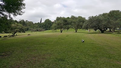 Photos of Memorial Park