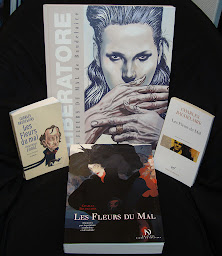 Photo n°15 de Des Livres et des Arts à Rodez (Librairie)