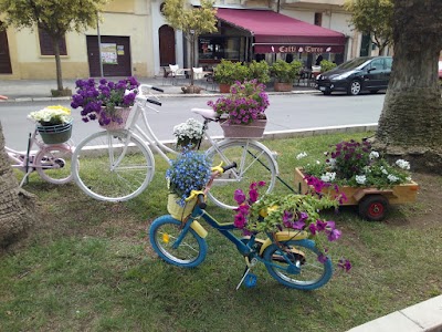 Photos of La bicicletta