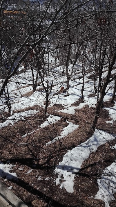 Photos of انجمن علمی فرهنگی آهار (NGO)