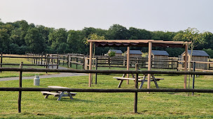 Photo n°29 de Mini Ferme Pédagogique & Ecurie de la Borderie à Le Boulay (Centre équestre)