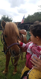 Photo n°16 de Buffalo Ranch : Equitation western et randonnées équestres à Vernouillet (Ranch de tourisme)