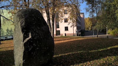 Photos of Talsi State Gymnasium