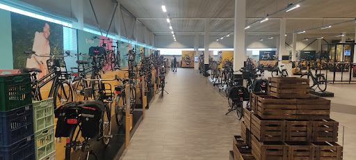 Bigline - Fietsenwinkel.nl - Utrecht - Thumbnail