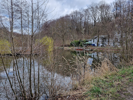 Rundwanderweg Kirchenholz - Thumbnail