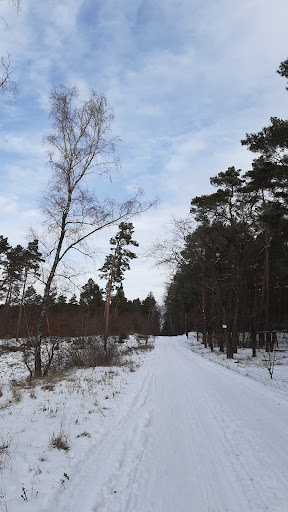 Tor zur Glücksburger Heide