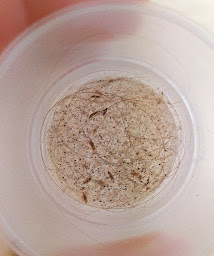 Photo n°13 de Family's Poux Grenoble (Kid's Poux) à Seyssinet-Pariset (Salon de coiffure)