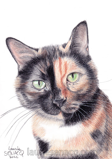 Laurie Sénacq - Artiste portraitiste - Thumbnail