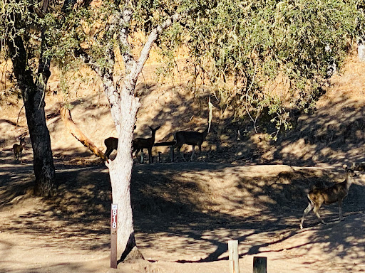 Quail's Roost Campground Gallery - United States