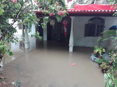Photos of Silver Garden