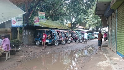 Photos of Pathrail Union Parishad