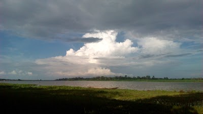 Photos of Beel