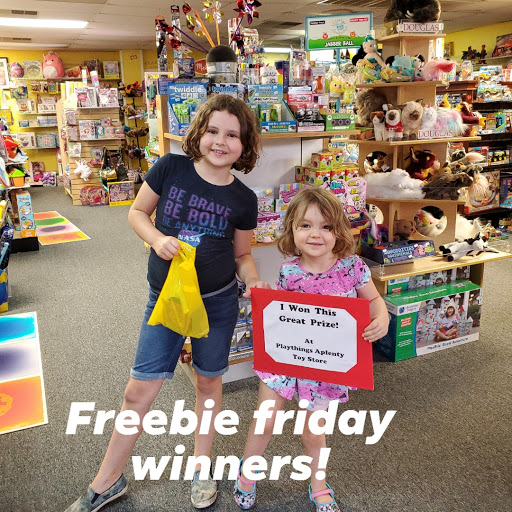 Playthings Aplenty Toy Store - Thumbnail
