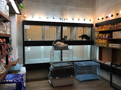 Photos of Urban Pets