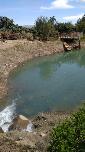 Fundo San Juan - el arenal s/n, valledeelqui, Vicuña, Coquimbo