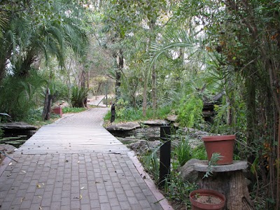 Photos of Skukuza Indigenous Plants Nursery