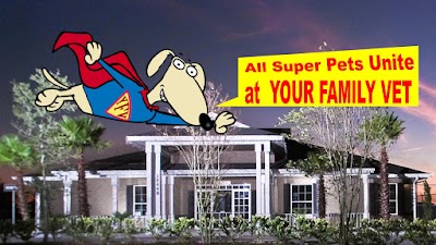 Photos of Your Family Veterinarian