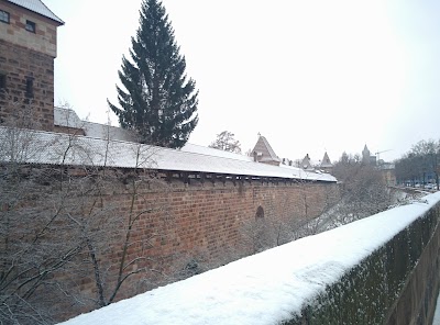 university