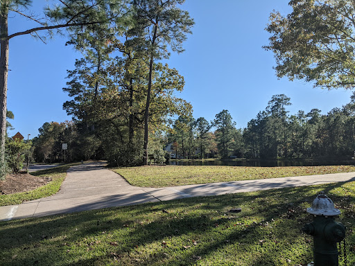 Capstone Park - Visual