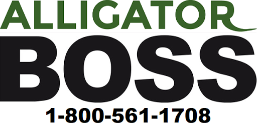 AlligatorBoss.com - Visual