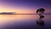 Фотография Альфа-Телеком, дом 2, улица Шейнкмана, Екатеринбург, Россия