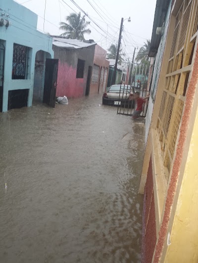 Photos of PRODECO