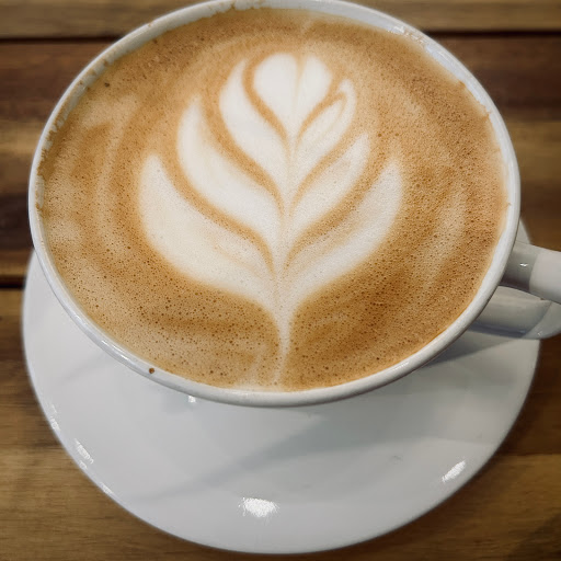 Lekko Coffee - Visual