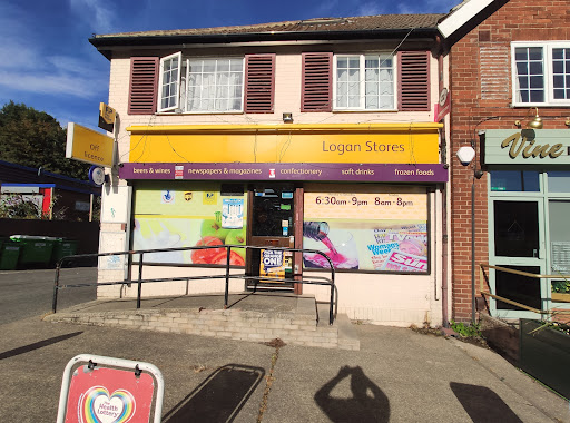 Logan Stores - Visual