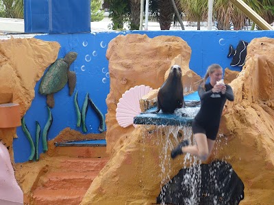 Golden Dome Sea Lion Show