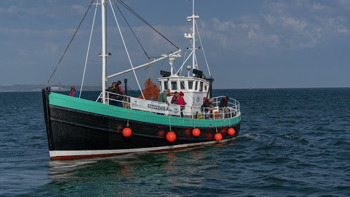 Seabird (citizen sea) - Thumbnail