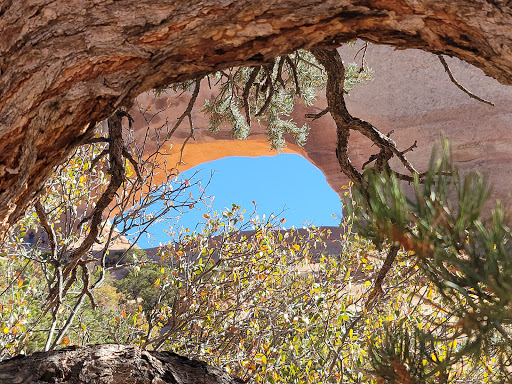 Wilson Arch - Visual