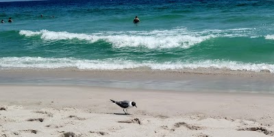 Brighton Avenue Beach