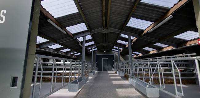 Reacties en beoordelingen van Animaux en Péril ASBL