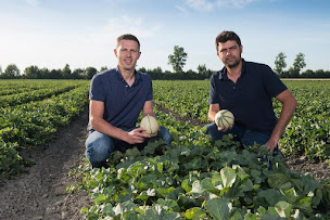 Photo n°8 de Panier Des Champs à Vix (Magasin d'alimentation bio)
