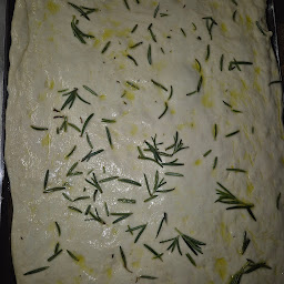 Photo n°24 de Terra Nova à Valfleury (Restaurant)