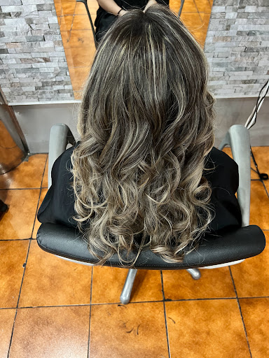 EDA peluqueros