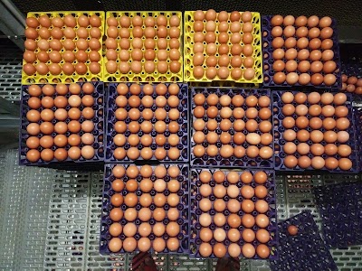 Photos of Diamond Feeds & Grains Ltd